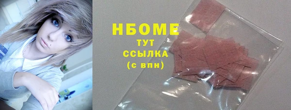 гашик Осинники