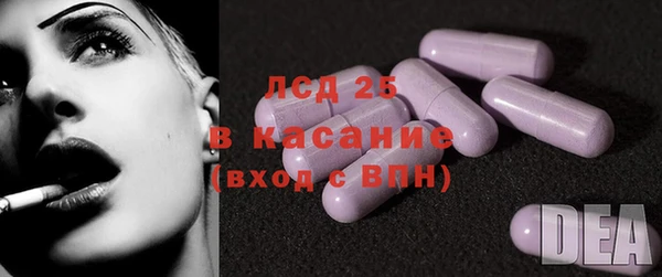 гашик Осинники