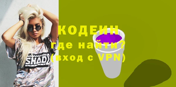 гашик Осинники