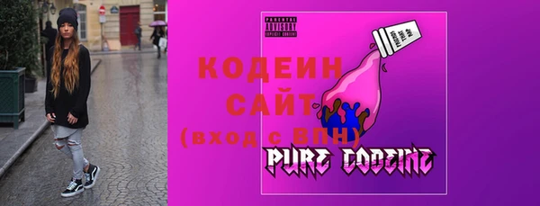 гашик Осинники