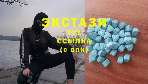 гашик Осинники