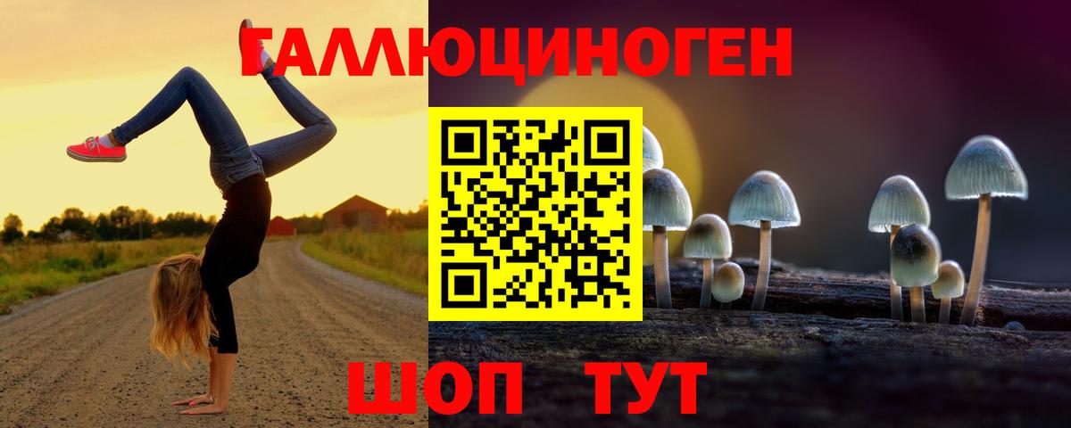 Галлюциногенные грибы Psilocybe Кумертау