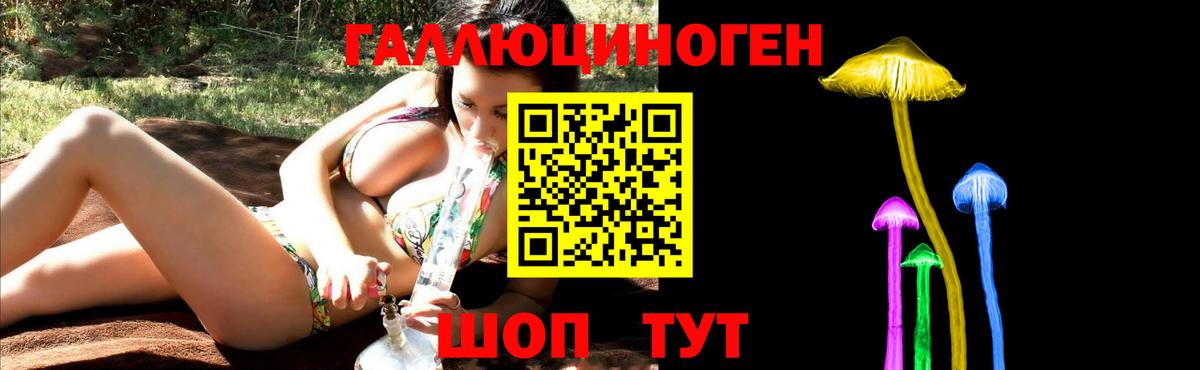 Псилоцибиновые грибы Psilocybine cubensis  Кумертау 